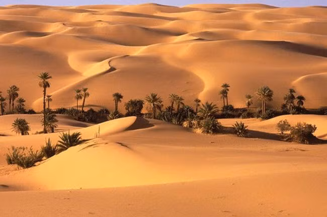 1. Seba, Libya Nằm gần thành phố Sabha ở phía nam Libya, ốc đảo Seba trở thành trung tâm của sa mạc lớn nhất thế giới Sahara. Những cây cọ xanh tốt đứng giữa biển cát vàng bất tận, khiến những người dừng chân tại đây tạm thời quên đi nhiệt độ nóng khủng khiếp trên sa mạc.