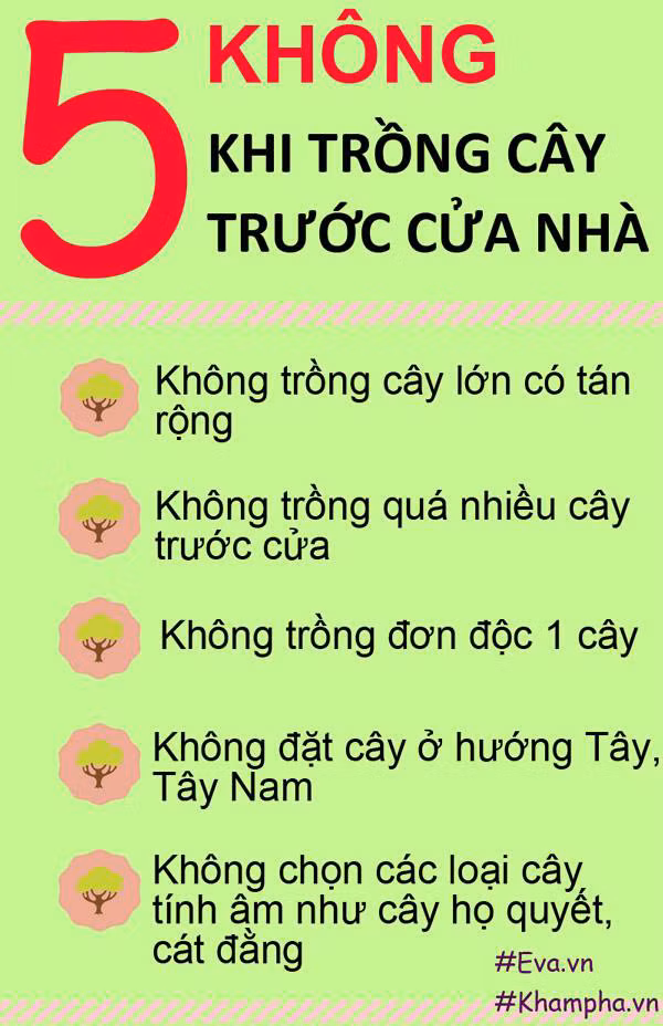 Nhung loai cay khong nen trong truoc cua nha de tranh gap hoa-Hinh-2