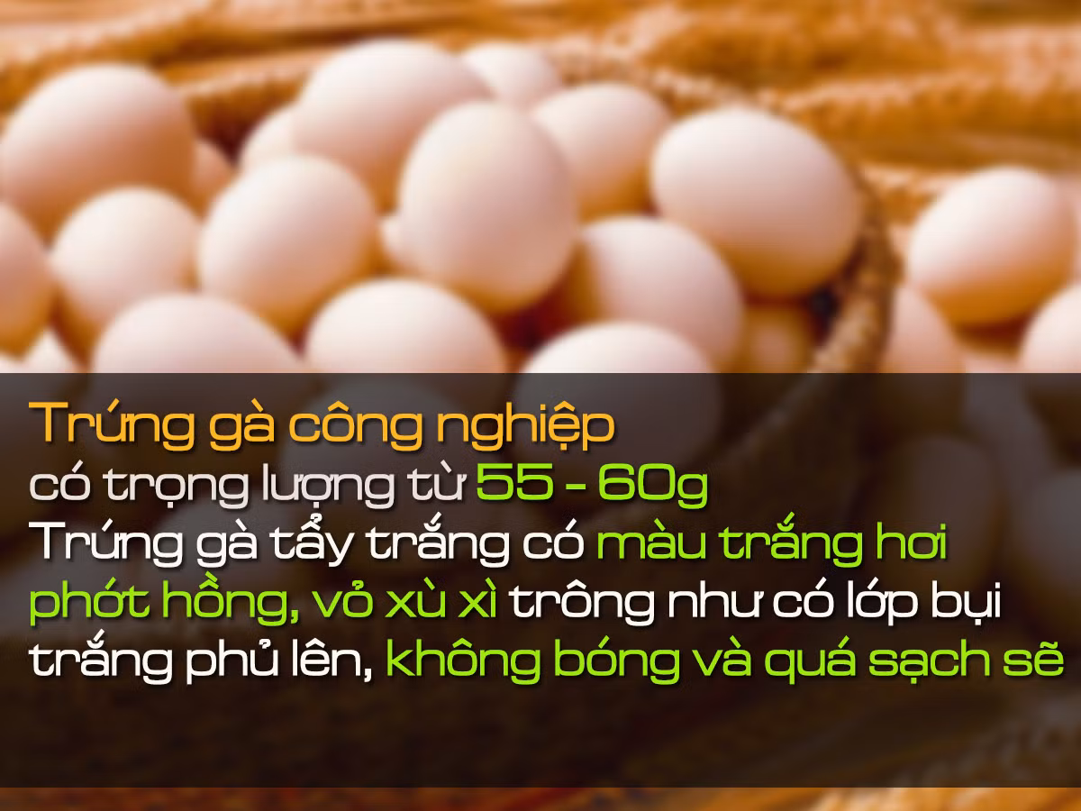 Làm thế nào để phát hiện trứng gà công nghiệp bị tẩy trắng? - Hình 2 Lam the nao de phat hien trung ga cong nghiep bi tay trang?-Hinh-2