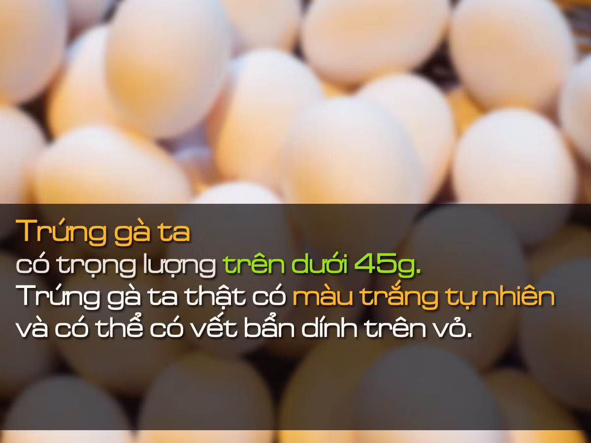 Làm thế nào để phát hiện trứng gà công nghiệp bị tẩy trắng? Lam the nao de phat hien trung ga cong nghiep bi tay trang?