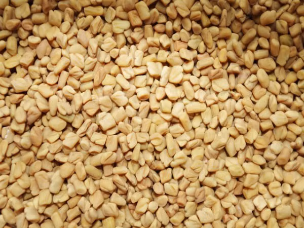 Hạt Methi (hạt hồ lô ba) Hạt Methi nếu được tiêu thụ thường xuyên cũng có tác dụng hỗ trợ tăng cơ vùng mông. Ngoài ra, loại hạt này còn có khả năng kích thích sản xuất hóc-môn làm tăng cường cơ bắp trong cơ thể phụ nữ.