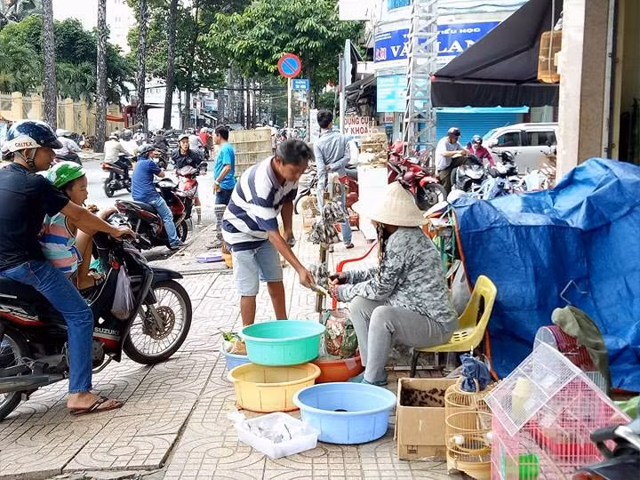 Chợ có diện tích chưa đến 30m² nhưng đã tồn tại khoảng 20 năm, nằm nép mình ở một góc nhỏ vỉa hè bên hông Thuận Kiều Plaza quận 5, TPHCM. Đây là khu vực buôn bán sâu bọ, cào cào, dế, châu chấu, thậm chí có cả bọ cạp. Khách hàng chủ yếu của khu chợ là những người chơi chim cảnh, cá cảnh.