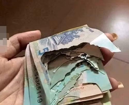Chưa bao giờ thấy căm hờn lũ chuột đến vậy.