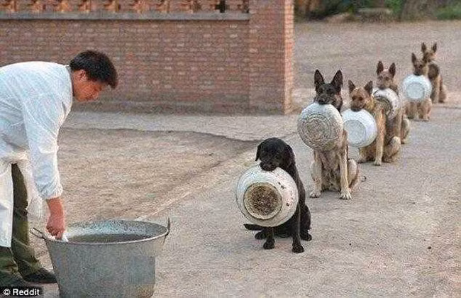 Xếp hàng ngay ngắn vào, gọi đứa nào đứa đấy mới được lên nghe chưa.