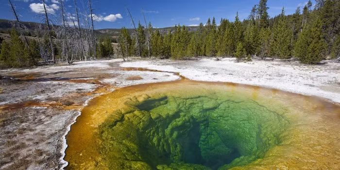 1. Vườn quốc gia Yellowstone, Wyoming, Hoa Kỳ Vườn quốc gia Yellowstone, Hoa Kỳ là một trong những điểm tham quan đẹp đến kinh ngạc với các thác nước Grand Canyon đến và “Old Faithful” nổi tiếng. Chắc chắn bạn sẽ không thể ngừng ngắm dòng sông Grand Prismati Spring với các bọt nước đủ màu sắc được tạo thành các loại tảo phát triển mạnh trong thời tiết mùa xuân.