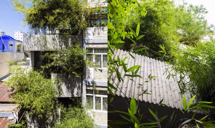 Vân tre trên bề mặt bê tông giúp làm giảm sự khô cứng và nặng nề của tường bê tông truyền thống, cải thiện chất lượng thẩm mỹ của ngôi nhà.