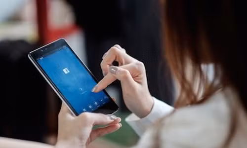 Facebook: Bo beo thi it, vat va bi ai thi nhieu