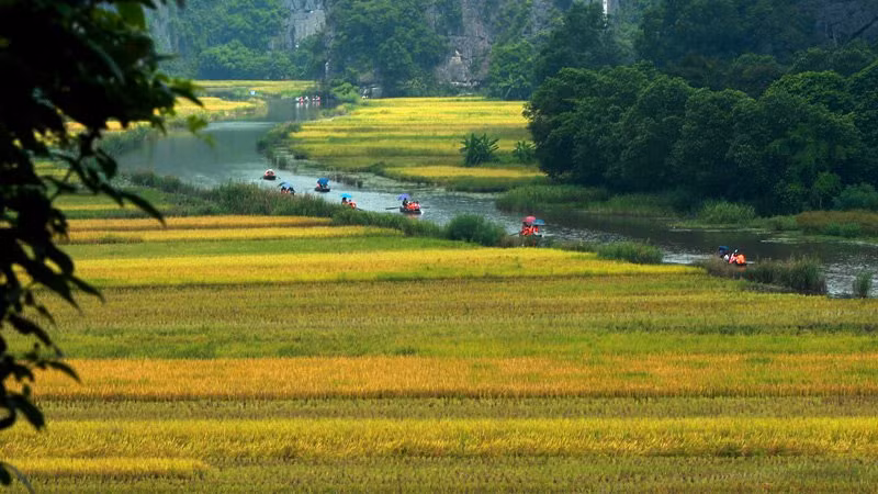 Những con thuyền đưa du khách đi tham quan từ sáng sớm.
