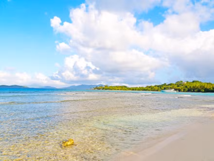 Bãi biển Lindquist, St. Thomas là nơi hoàn hảo để tổ chức một buổi picnic nhẹ với những bàn ăn ngoài trời. Bạn có thể vừa ăn uống vừa ngắm làn nước trong veo và sóng vỗ rì rào.