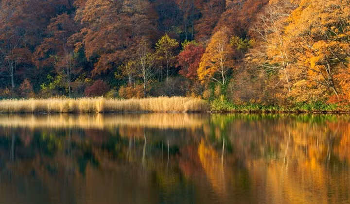 3. Núi Hachimantai, Tohoku. Tại Tohoku, vùng đất phía Bắc xa xôi của Nhật Bản, là một trong những điểm ngắm mùa thu đẹp nhất cả nước. Trong khu vực bạn cũng sẽ tìm thấy một số thị trấn tắm nước nóng thú vị và các tuyến đường mòn đi bộ hoàn hảo cho những ai mong muốn tìm kiếm một trải nghiệm truyền thống, nông thôn của Nhật Bản.