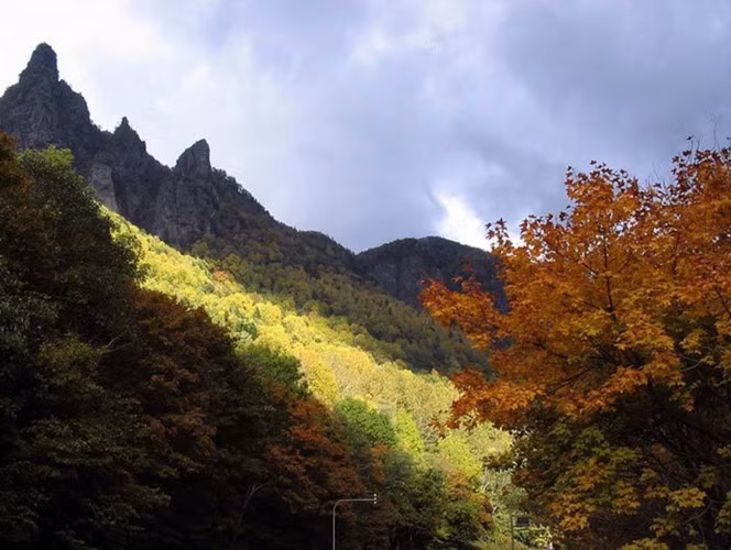 2. Công viên quốc gia tại Hokkaido. Là nơi mang vẻ đẹp hoang dã của núi rừng, đồng bằng, hồ nước và suối nước nóng - đây là địa điểm tuyệt vời để ngắm lá mùa thu tại Nhật Bản. Các điểm yêu thích bao gồm Vườn Quốc gia Daisetsuzan - nơi đầu tiên ở Nhật Bản để xem màu sắc mùa thu vào giữa tháng 9 và bán đảo Shiretoko.