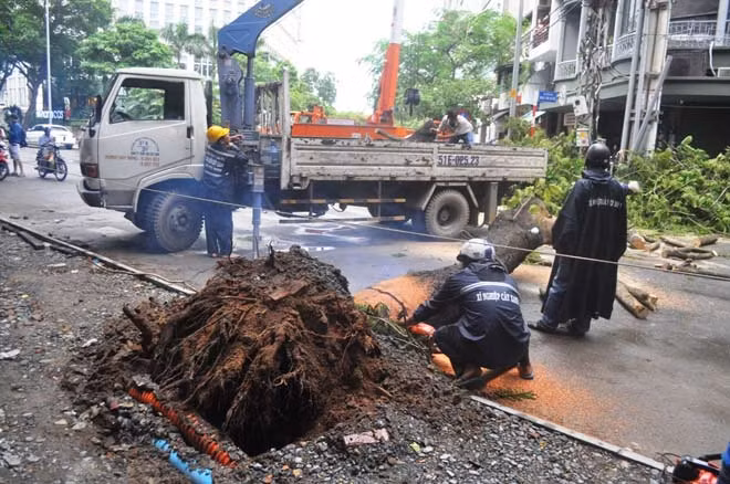 Sự cố cây xanh liên tục bật gốc may mắn không gây thương vong về người, nhưng làm người dân hai bên đường và người đi đường một phen kinh hoàng.