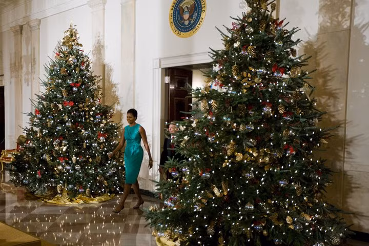 Trang trí đón Giáng sinh đầu tiên của gia đình Tổng thống Barack Obama tại Nhà Trắng. Ảnh chụp tháng 12/2009. Ảnh: Getty.