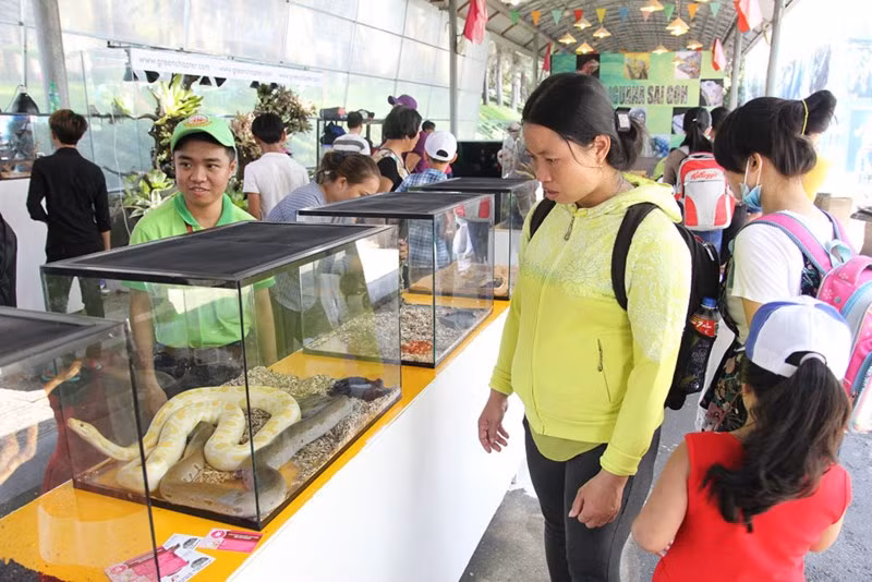 Bộ sưu tập sinh vật cảnh với nhiều loài động vật lạ trên thế giới như cự đà Nam Mỹ, chim ưng, sóc bay... Khách tham quan khu trưng bày sinh vật cảnh với nhiều loài động vật phong phú.