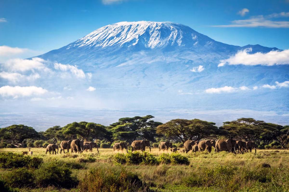 Tanzania Đây là nơi có hai kỳ quan thiên nhiên lớn nhất và tuyệt vời nhất của châu Phi: núi Kilimanjaro và vùng Serengeti. Kilimanjaro là nóc nhà châu Phi, với đỉnh núi phủ tuyết, sừng sững giữa đồng cỏ bao la. Đến Serengeti, du khách sẽ có cơ hội chiêm ngưỡng những động vật hoang dã. UNESCO đánh giá cuộc di cư hàng năm của linh dương và ngựa vằn ở đây là “một trong những hiện tượng tự nhiên ấn tượng nhất thế giới”. Ảnh: Launch DFW.