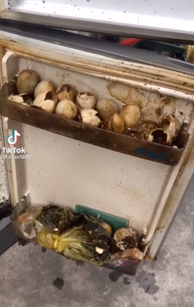 Nghỉ dịch quá lâu, sinh viên “té xíu” cảnh tượng trong phòng trọ Nghi dich qua lau, sinh vien “te xiu” canh tuong trong phong tro