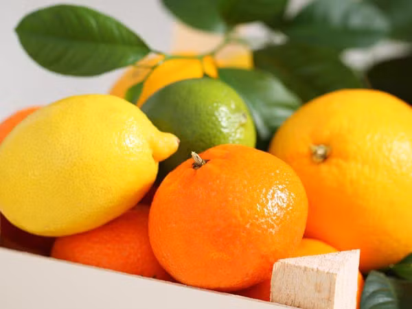 Vì vậy vào dịp đầu năm người ta thường tặng nhau những quả quýt to màu đỏ với hy vọng cả năm sung túc, đại cát đại lợi.