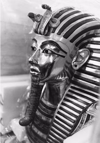 Những người ủng hộ giả thuyết Nefertiti là mẹ đẻ của Vua Tut vì bà thường xuất hiện trong các bức khắc họa cùng phu quân Akhenanten.