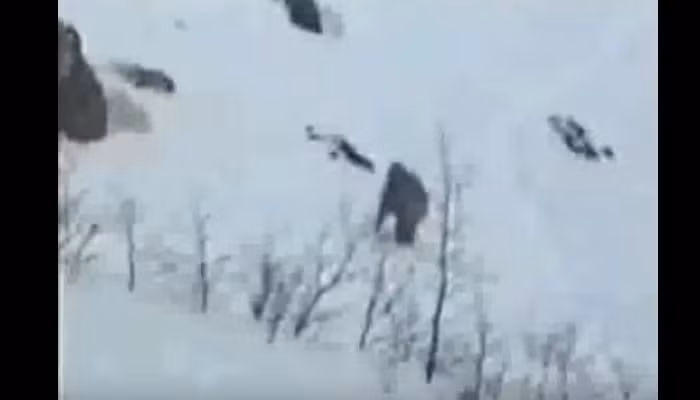 Làng Chernakova, thuộc vùng Novosibirsk của Nga cũng nằm trong danh sách những địa điểm có khả năng là nơi sinh sống của Yeti.