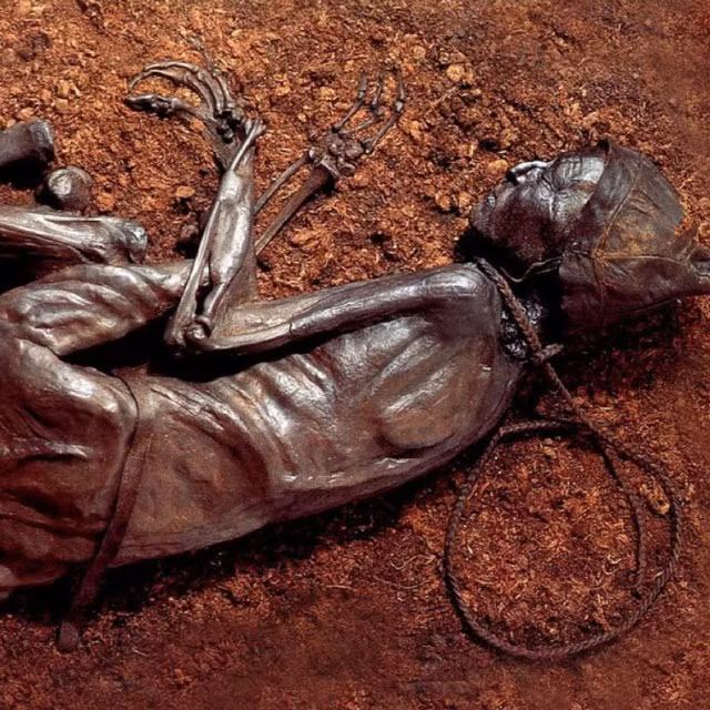 Cụ thể, gương mặt của Tollund Man trông khá điềm tĩnh không hề có vẻ đau đớn, chống cự lại khi bị treo cổ.