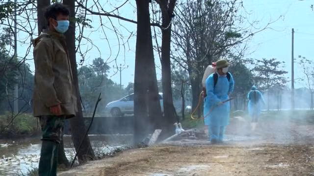 “Diem” 5 dia phuong bi cum A/H5N6 hoanh hoanh, nguoi dan lam gi chong dich?