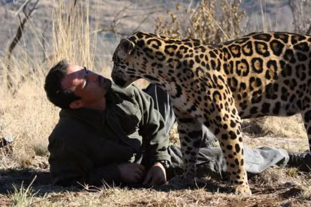 Kevin Richardson, người có khả năng "hiểu động vật". Còn được gọi là "người thì thầm với sư tử" Kevin Richardson đã trở thành một huyền thoại trên toàn thế giới vì có khả năng kết bạn với nhiều loài động vật hoang dã như như sư tử, báo gêpa, và linh cẩu. Anh có thể đi dạo, chơi và ngủ cùng những động vật nguy hiểm bậc nhất thế giới này.