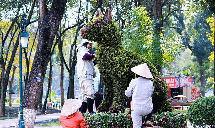 Những người sinh năm Tuất có một tương lai thịnh vượng. Trên khắp thế giới những chú chó được nuôi để giữ nhà, chống lại những kẻ xâm nhập, vì thế nhiều nơi thường đặt những cặp chó đá ở hai bên cổng làng để bảo vệ. Năm Tuất được tin là năm rất an toàn.