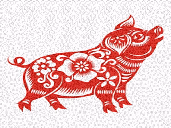 Tuổi Hợi tính tình thân thiện, phóng khoáng, không màng vật chất, danh lợi, tự do tự tại giữa đời. Con giáp bản tính tốt bụng, thích giúp đỡ mọi người nên phúc khí hơn người.