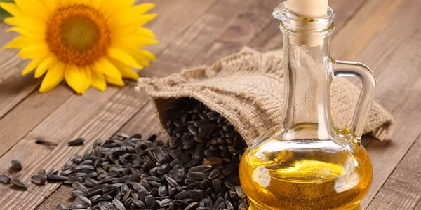 Dùng dầu hướng dương dưỡng ẩm thường xuyên sẽ tránh được tình trạng ra tay khô bong tróc. Trong khi đó, yến mạch là loại “mỹ phẩm thiên nhiên” lành tính và có nhiều công dụng làm đẹp tuyệt vời như tẩy da chết, dưỡng ẩm, dưỡng trắng.