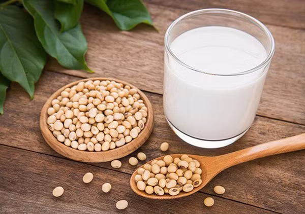 Chính vì vậy, nam giới hoàn toàn có thể uống đậu nành mà không ảnh hưởng đến khả năng sinh lý. Thậm chí, nam giới ăn một số loại đậu và các sản phẩm một cách thích hợp còn có tác dụng ngăn ngừa ung thư tuyến tiền liệt.
