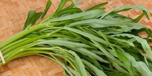Rau muống cũng được đánh giá cao về hàm lượng kali và clo. Tuy nhiên, cứ 100g rau muốn có chứa khoảng 691mg axit oxalic. Bởi vậy, bạn nên chần qua nước xôi trước khi xào.
