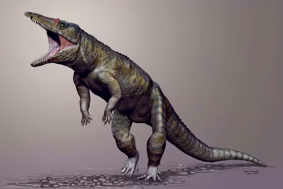 Trong ảnh là sinh vật có tên Carnufex carolinensis hay còn gọi là "Đồ tể Carolina", sinh vật được coi là cá sấu cổ đại. (Nguồn Sina)