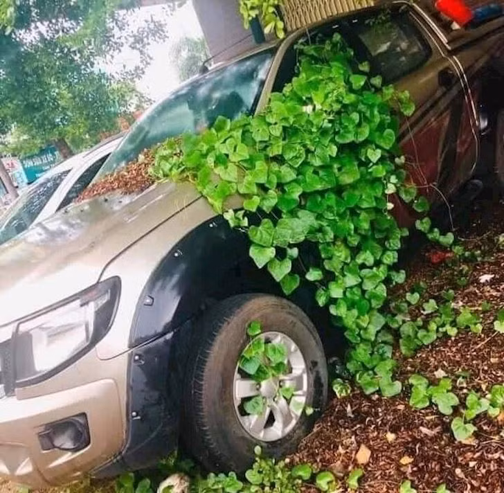 Liên tiếp những đợt giãn cách khiến cho một số chủ xe không kịp phòng bị khiến cho hình ảnh những chiếc xe trở nên xót xa bởi không được sử dụng hay chăm xóc định kỳ.