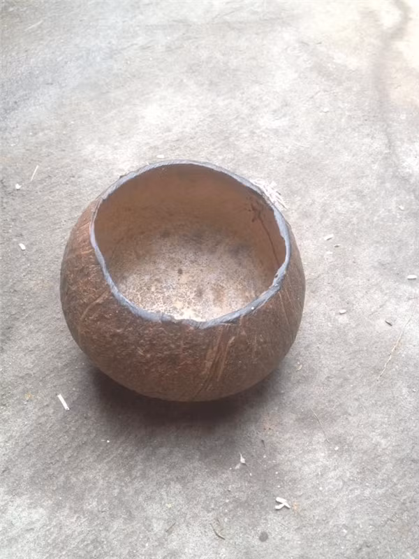 Gáo dừa có từ thời ông cố vẫn còn tồn tại đến ngày nay.