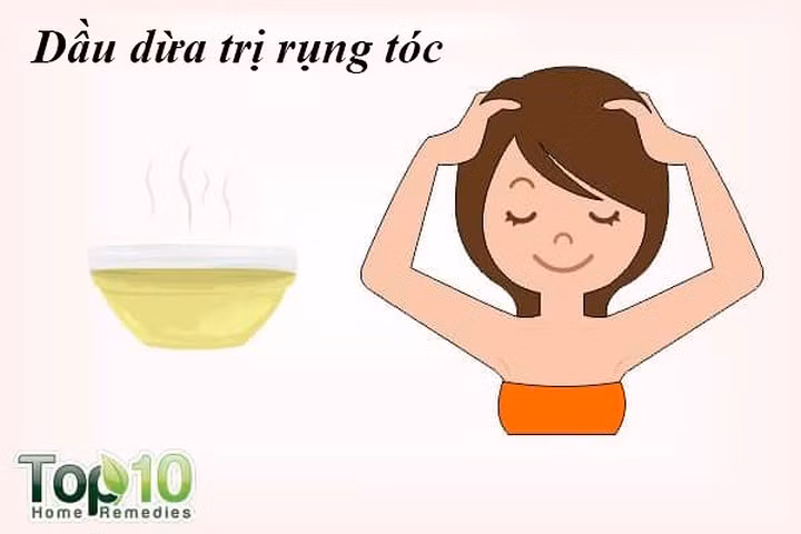 Dừa: Dầu dừa có chứa các axit béo, nó dễ dàng xâm nhập vào các sợi tóc, cung cấp khoáng chất và protein làm giảm rụng tóc. Bạn có thể sử dụng dầu dừa hoặc sữa dừa để ngăn ngừa rụng tóc.