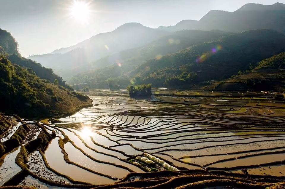 Màu của đất nâu, của trời xanh, của mặt nước óng ánh dưới nắng vàng rực rỡ (Ảnh Internet).