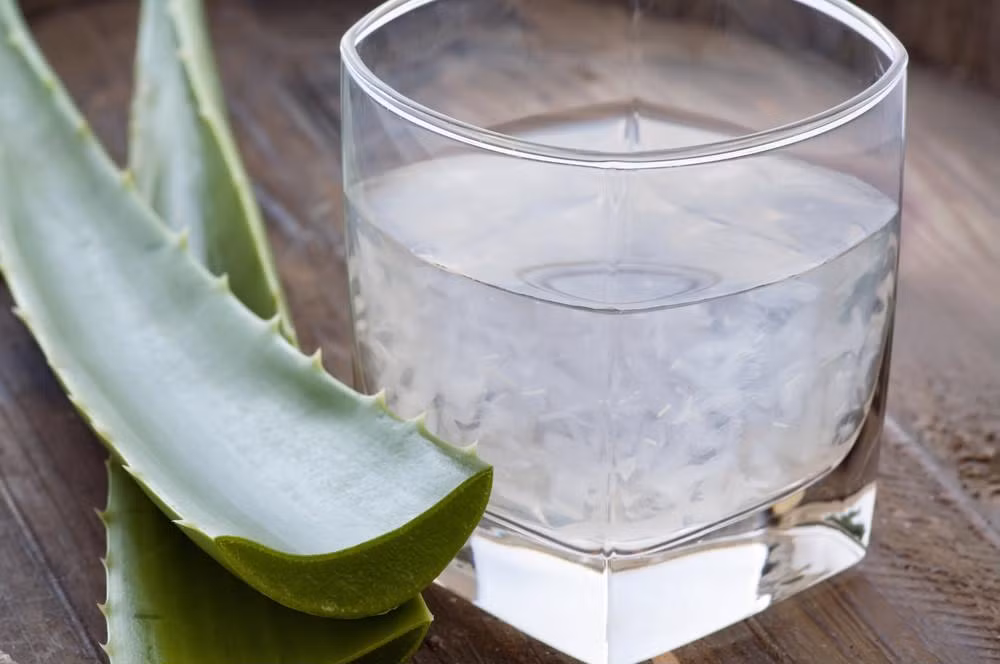  Nha đam Nha đam có tác động trực tiếp đến quá trình trao đổi chất. Không những thế, loại thực vật này còn hỗ trợ kích thích sản sinh và duy trì sự sống của collagen giúp làn da tươi trẻ, không lão hóa sớm. Thêm vào đó, uống nha đam mỗi ngày, bạn sẽ tăng gấp đôi lượng hydrat hóa - một "chìa khóa" khác để thúc đẩy sự trao đổi chất, giảm cân thành công. 
