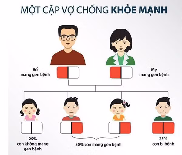 2 vợ chồng cùng mang gen lặn Thalassemia có nguy cơ sinh ra nhiều đứa trẻ bị bệnh (Vietnamnet.vn).