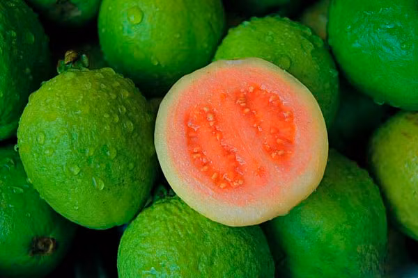 Ổi chứa hàm lượng vitamin C cao gấp 4, 5 lần cam, giúp ngăn ngừa rụng tóc hữu hiệu.