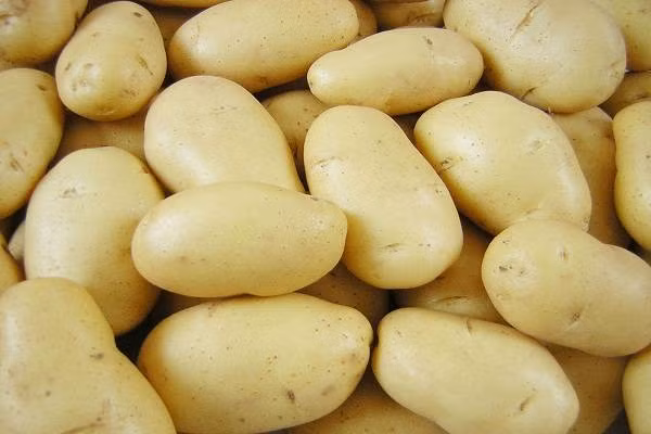 Khoai tây Thực phẩm giàu tinh bột này không chỉ tốt cho sức khỏe của trẻ mà nó còn là có công dụng đuổi muỗi cực hiệu quả. Vì trong khoai tây có chứa vitamin B làm thay đổi mùi trong máu khiến muỗi tránh xa. Mẹ có thể cho trẻ ăn khoai tây nghiền trộn sữa hoặc khoai tây xào thịt bò, canh hầm xương khoai tây....