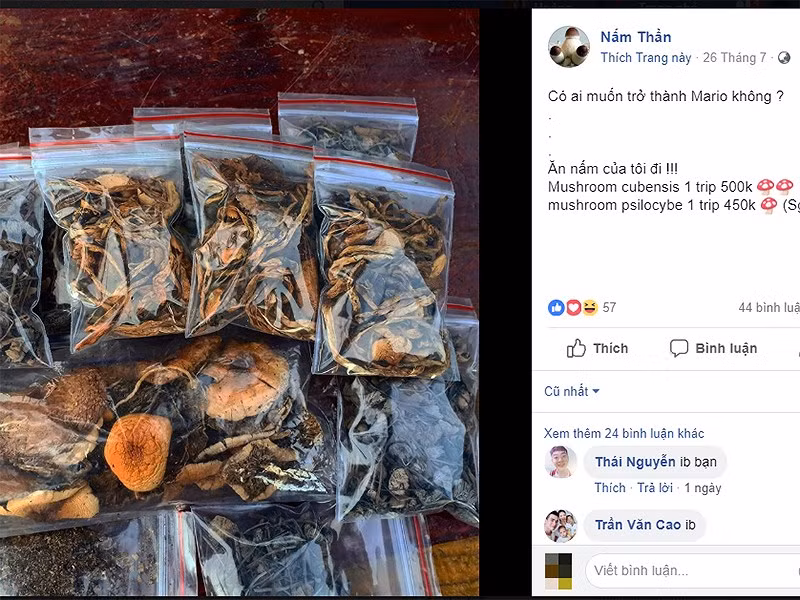 Rùng mình ảo giác chết người của "Nấm ma thuật" - Hình 2 Rung minh ao giac chet nguoi cua