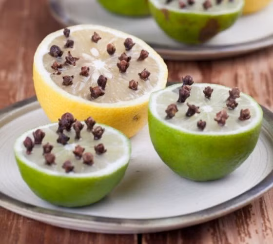 Đinh hương: Cách đơn giản nhất là đặt một vài nắm đinh hương vào tấm vải thưa, hoặc nửa quả chanh, sau đó treo tấm này gần cửa ra vào hoặc cửa sổ, hoặc những nơi có nhiều ruồi.