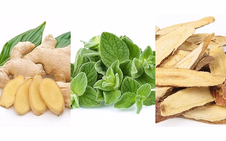 Các loại thực phẩm tự nhiên ngăn ngừa cục máu đông Salicylates: Đây là những hợp chất ức chế đông máu, thường có trong một số loại thảo mộc và gia vị như ớt, nghệ, húng tây, cam thảo, gừng và bạc hà. Một số loại quả cũng chứa salicylat là dứa, nho, quả mọng, mận, cam, ô liu, cà chua,...