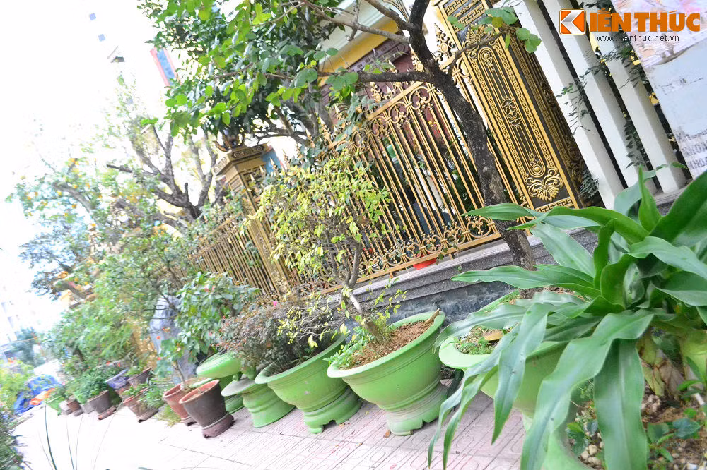 ... cùng hàng loạt chậu cây cảnh bao quanh dưới chân hàng rào như để tạo sự phân cách giữa không gian ồn ào bên ngoài với sự tĩnh lặng, mát mắt bên trong khu biệt thự.