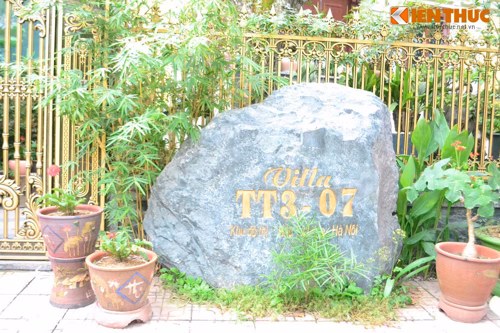 Biệt thự Hà Nội đẹp lạ nhờ những chậu cây màu xanh mát mắt - Hình 2 Biet thu Ha Noi dep la nho nhung chau cay mau xanh mat mat-Hinh-2