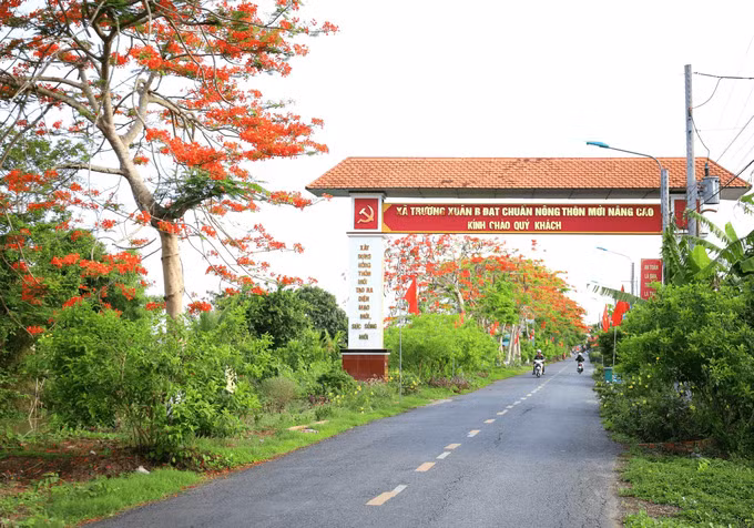 Tại Cần Thơ, con đường hoa phượng dài hơn 3 km nối liền qua 2 xã nông thôn mới nâng cao của huyện Thới Lai là Trường Xuân A và Trường Xuân B. Hàng hoa phượng đỏ hàng trăm cây được trồng dài theo đường giao thông, điều làm nên nét thơ mộng của con đường còn ở việc đường chạy ven kênh, bên dưới là kênh nước với những chiếc cầu nhỏ bắc qua, còn bên kia dòng kênh là đồng lúa xanh rì.