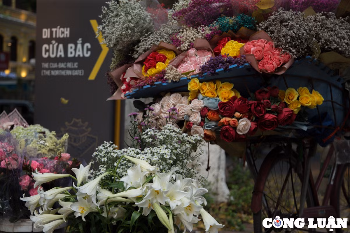 Không khó để bắt gặp những chiếc xe đạp chở đầy hoa loa kèn đầu mùa, tràn đầy sức sống.