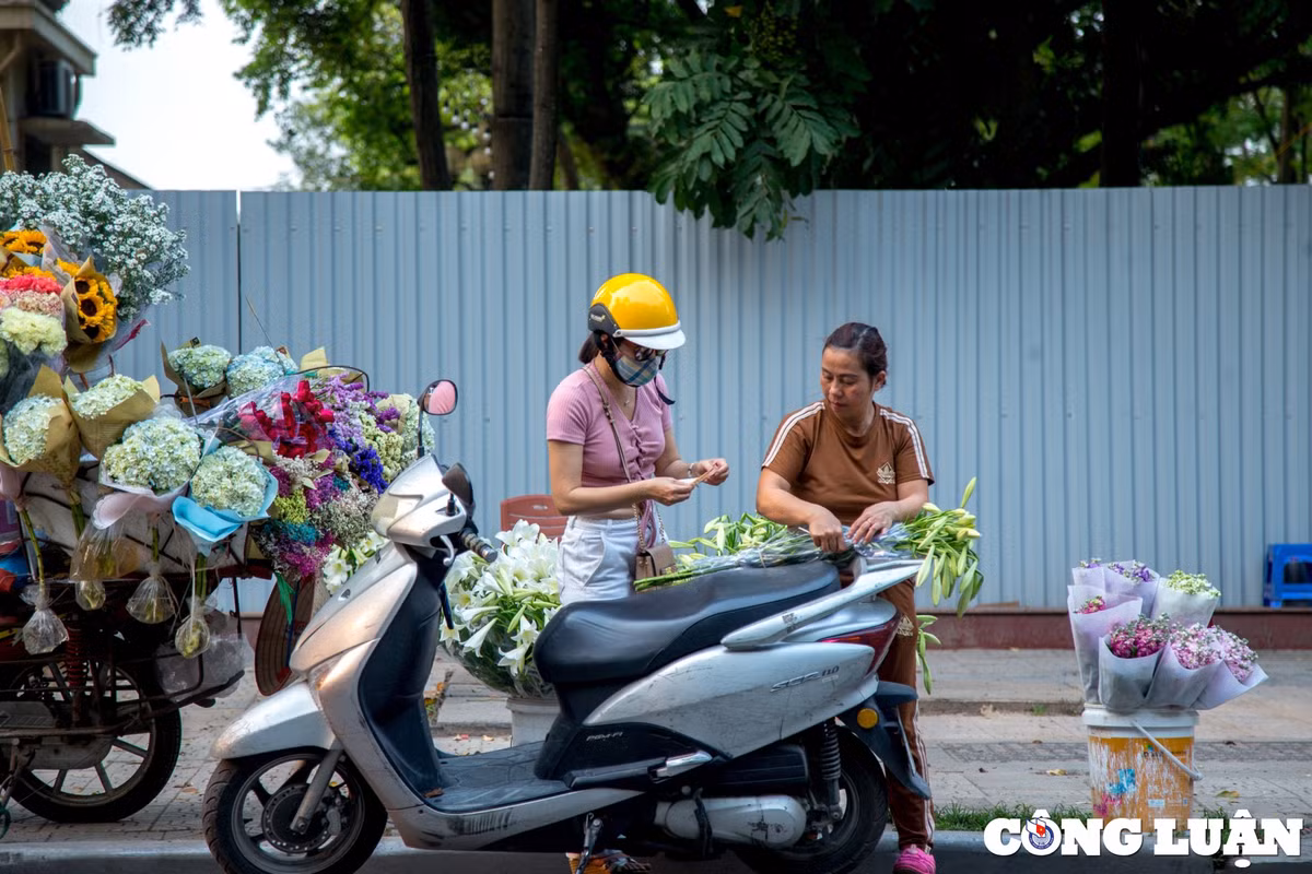 Chính vẻ đẹp riêng biệt của hoa loa kèn thu hút các tín đồ yêu hoa nên thời điểm này, người dân Thủ đô tranh thủ thời gian mua hoa về cắm trang trí tại nhà cũng như công sở. Hoa loa kèn không phải giống hoa khó trồng, khó chăm sóc nhưng để hoa được đẹp và tươi, người bán phải tưới hoa cho đẫm nước.