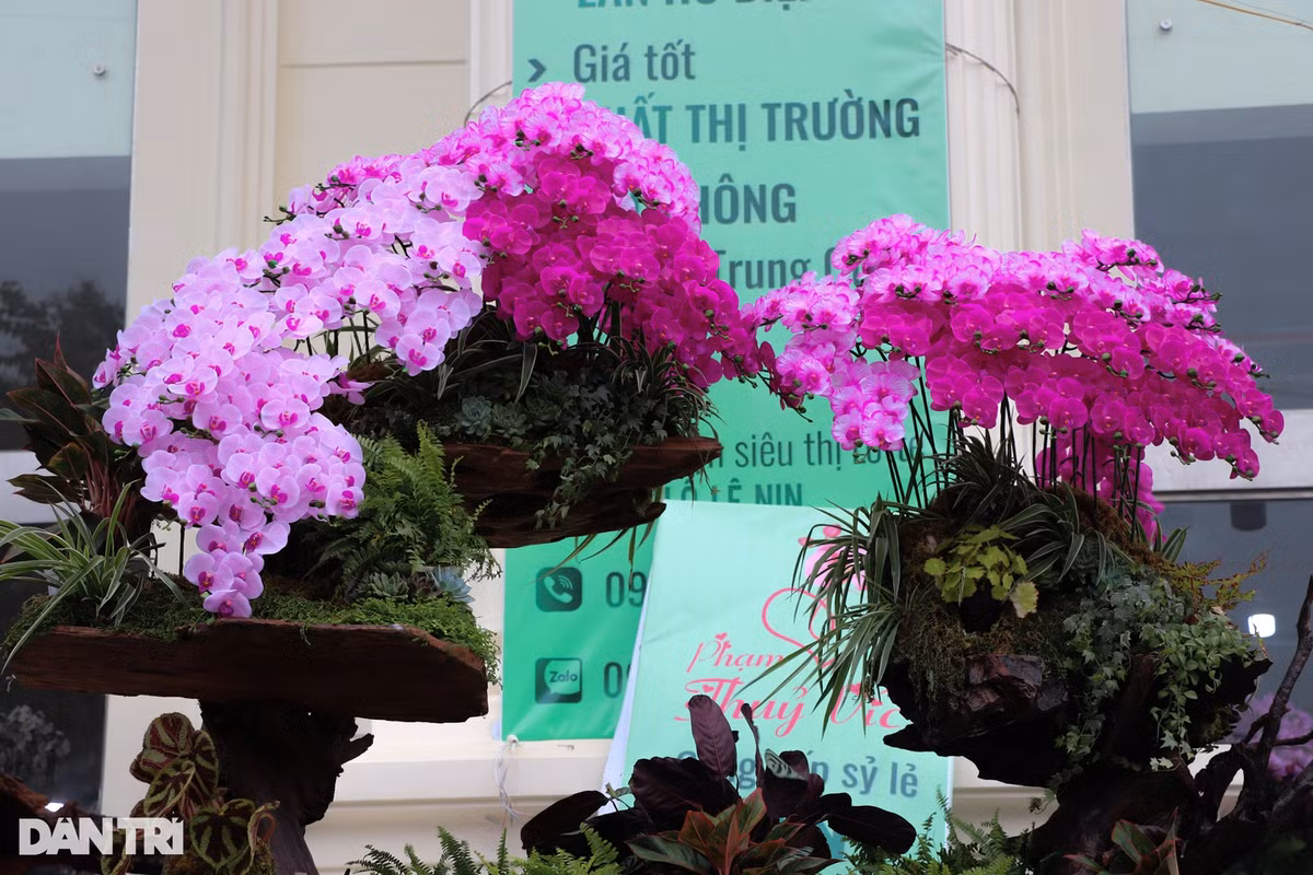 Mỗi cành hoa khi lên chậu đều mang dấu ấn về sự sáng tạo, nhẫn nại, tỉ mỉ và phong cách riêng của từng người thợ.