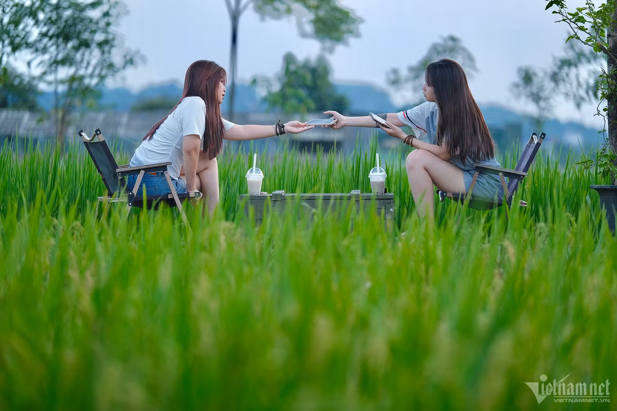Quán cà phê này trở nên đẹp hơn vào thời điểm cuối tháng 5, khi lúa đã bắt đầu chín vàng, chuẩn bị thu hoạch. Đến cuối tháng 10, sau vụ thu hoạch thứ 2 trong năm, nông dân sẽ cho ruộng nghỉ, nước sẽ được bơm ngập cánh đồng. Đó là lúc quang cảnh nơi đây lại mang một màu sắc khác. Ảnh: Mạnh Hùng